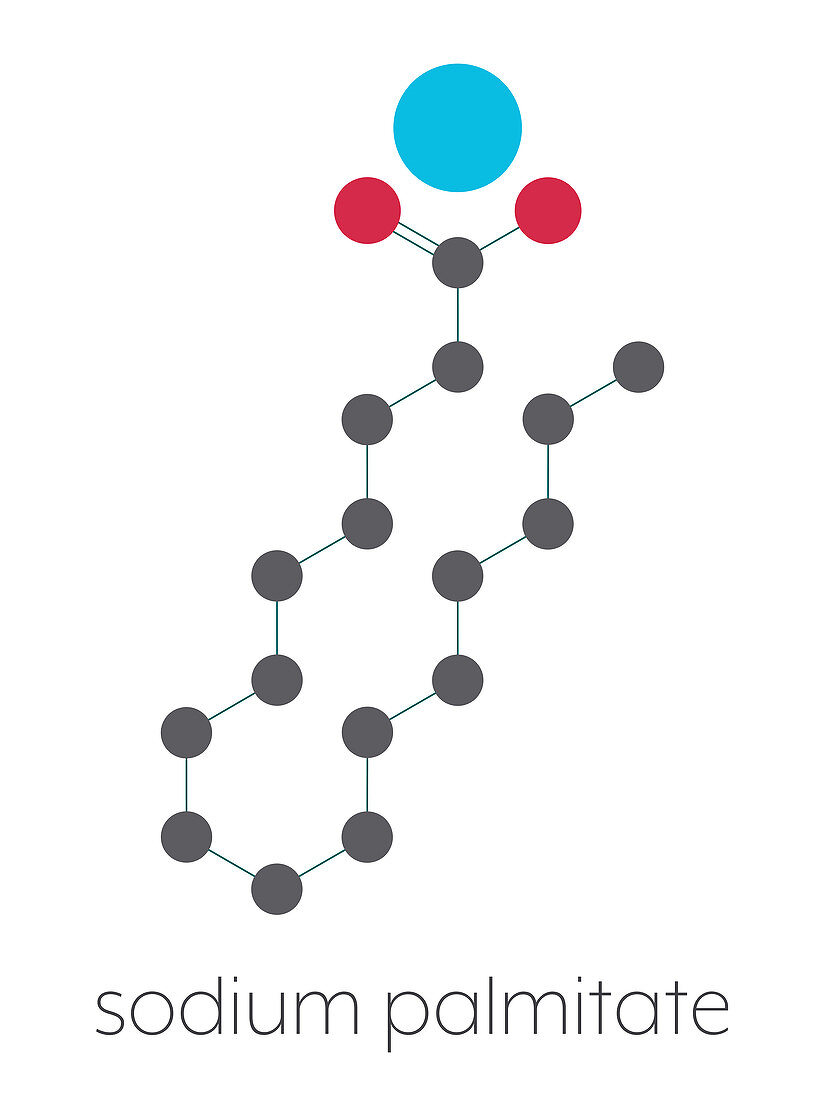 Sodium palmitate soap molecule, illustration