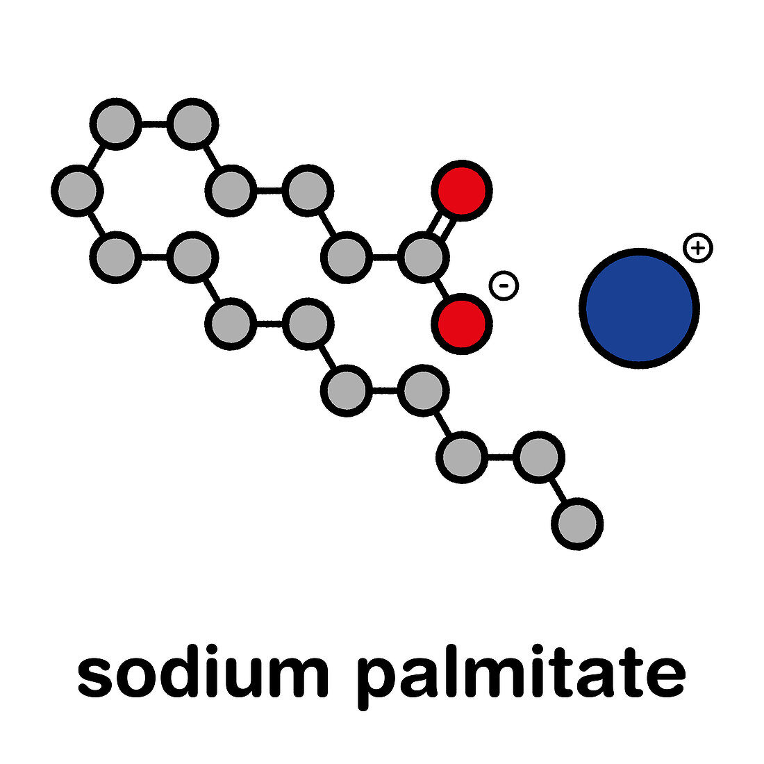 Sodium palmitate soap molecule, illustration