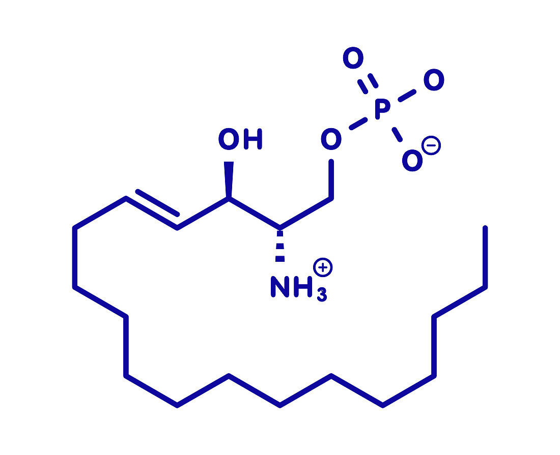 Sphingosine-1-phosphate signalling molecule, illustration