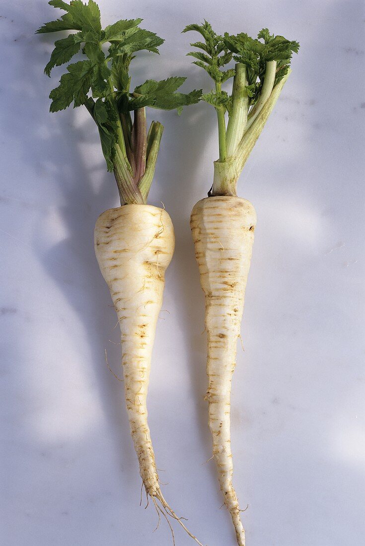 Two Parsnips