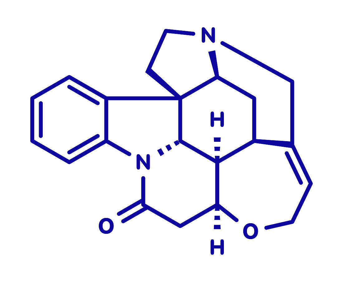 Strychnine poisonous alkaloid molecule, illustration
