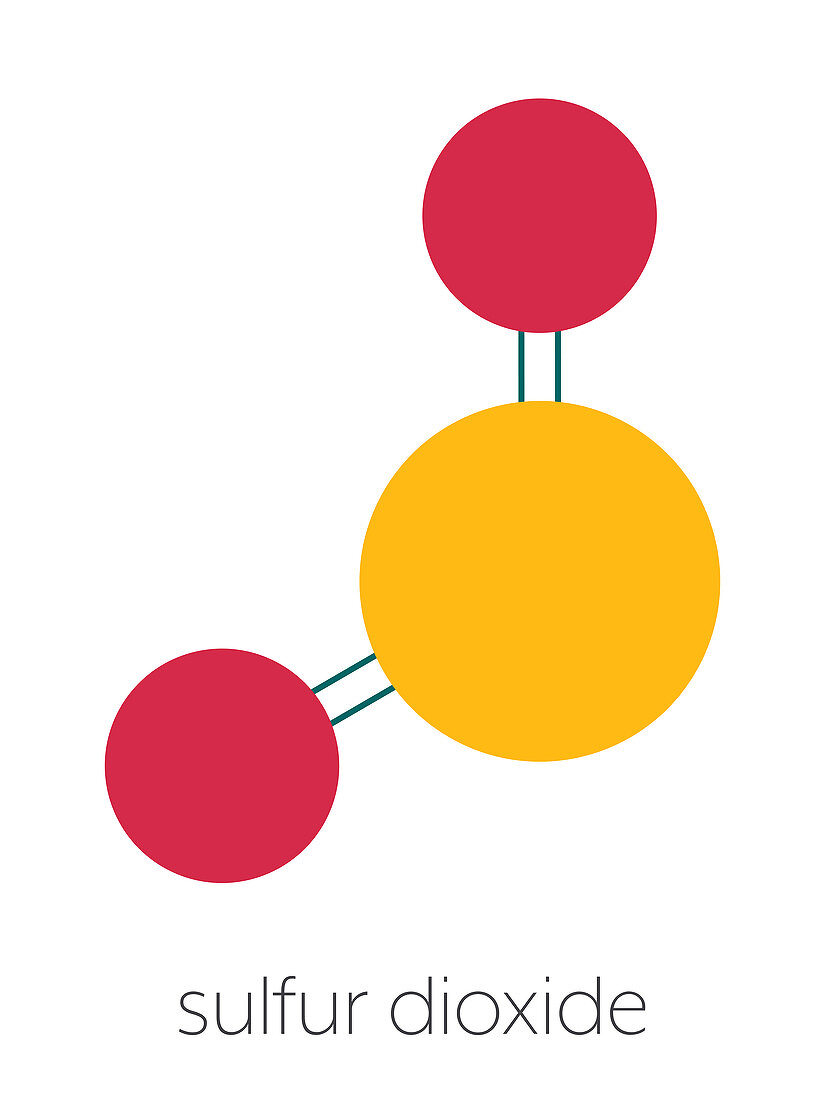 Sulfur dioxide food preservative molecule, illustration