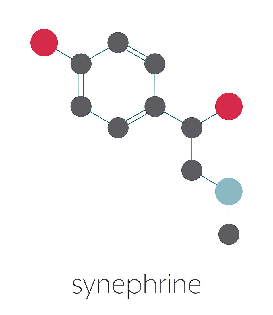 Synephrine herbal stimulant molecule, illustration