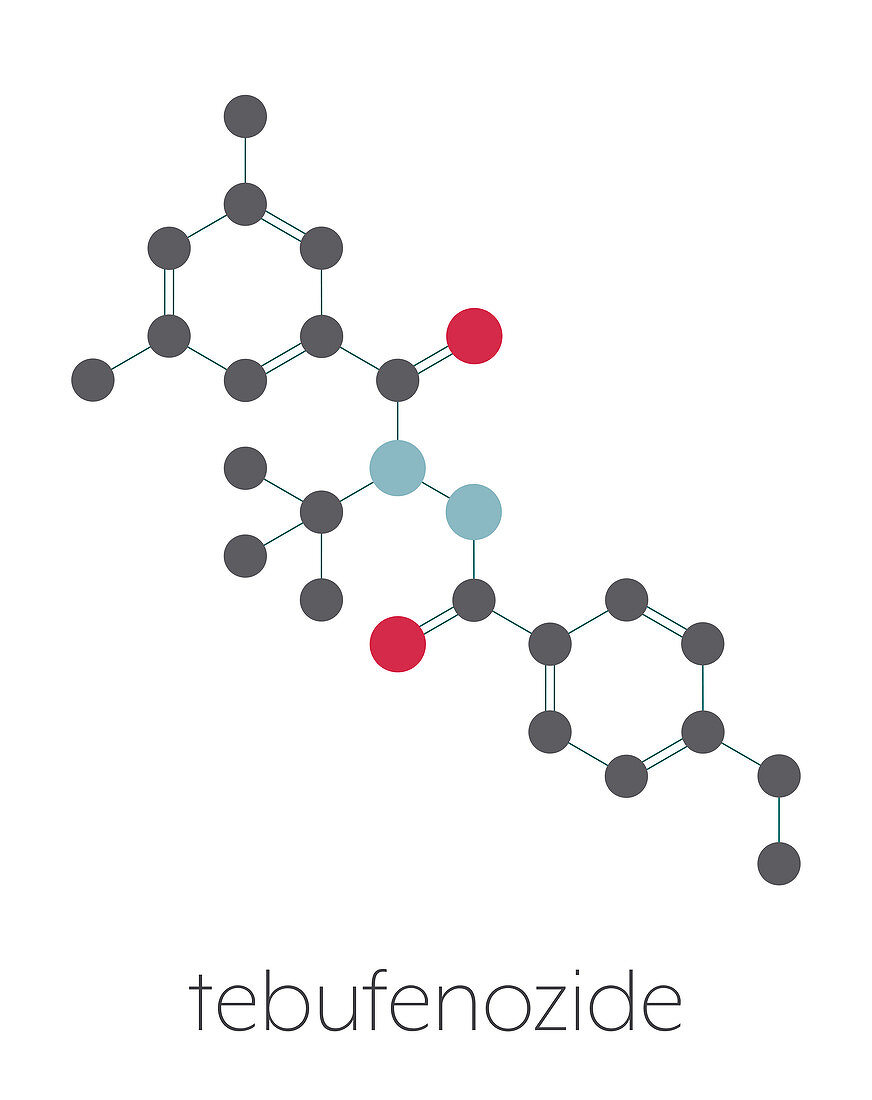 Tebufenozide insecticide molecule, illustration
