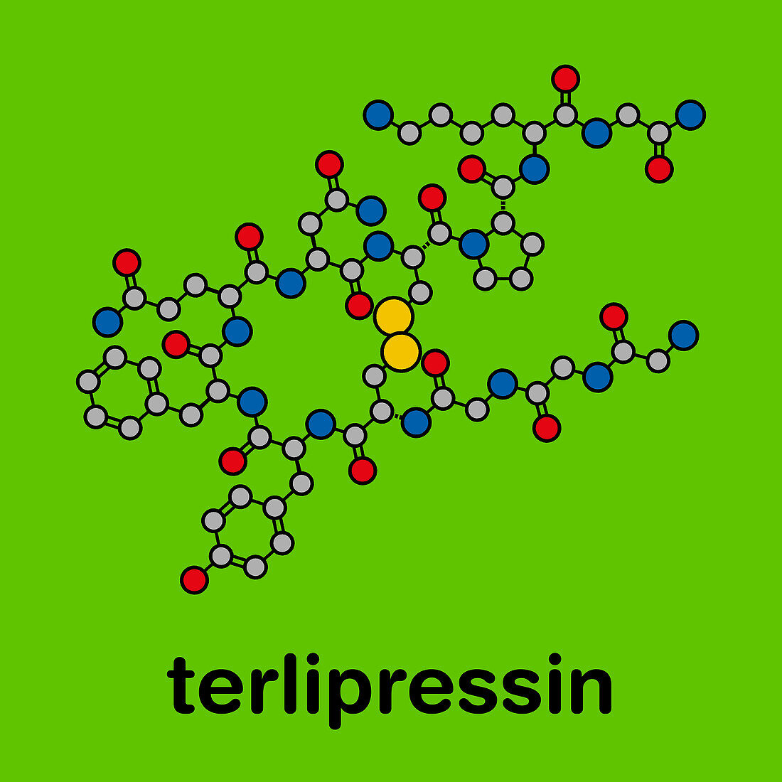 Terlipressin drug molecule, illustration