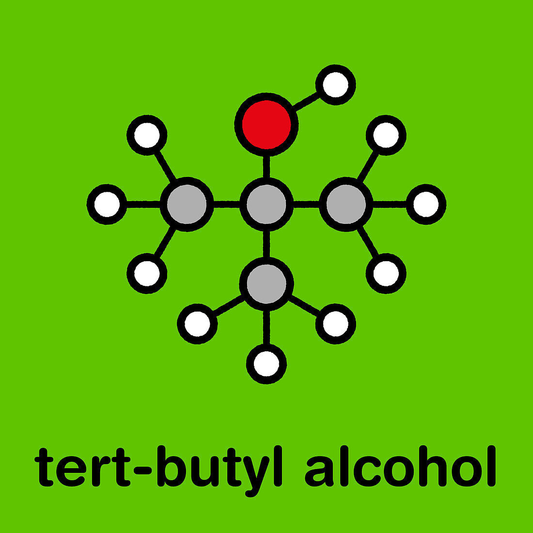 Tert-butyl alcohol solvent molecule, illustration