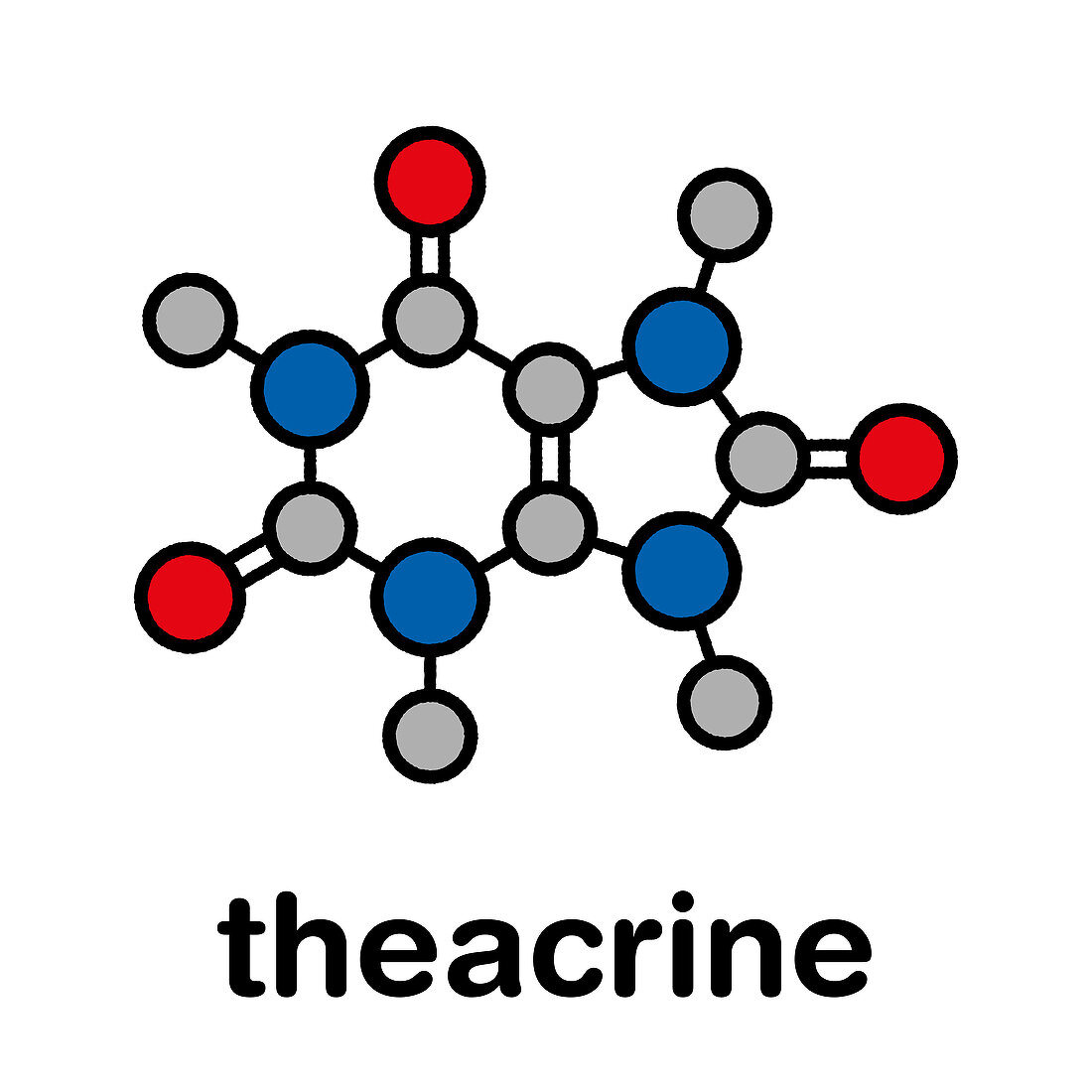 Theacrine molecule, illustration