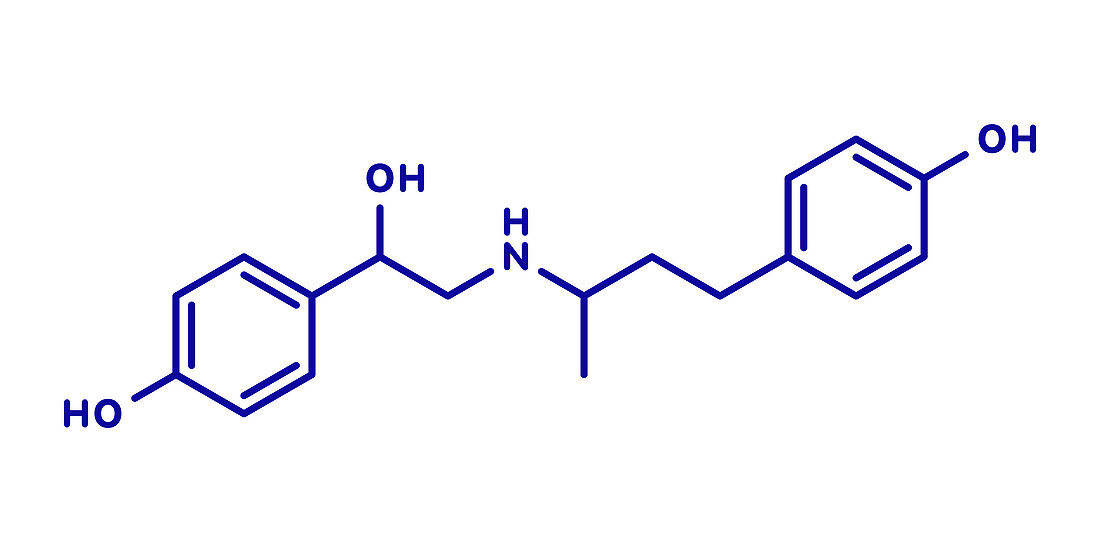 Ractopamine feed additive molecule, illustration