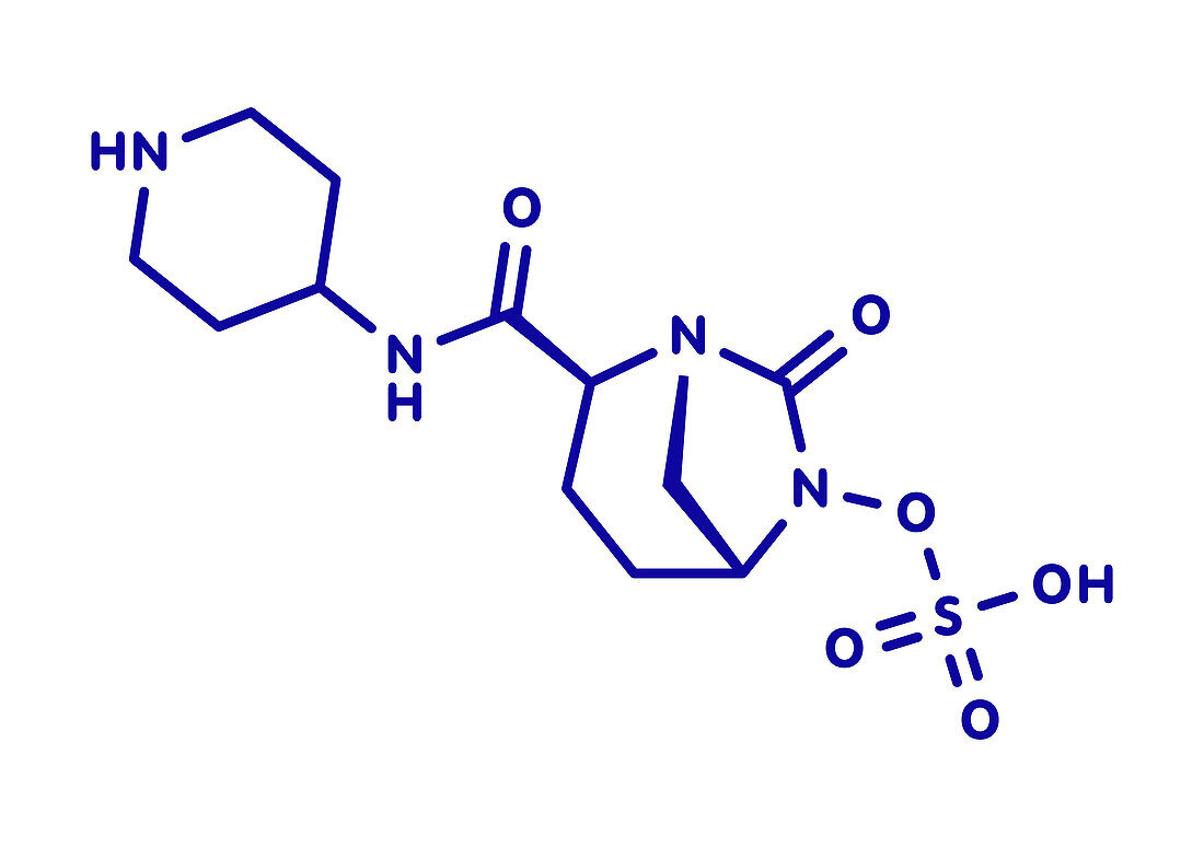 Relebactam drug molecule, illustration