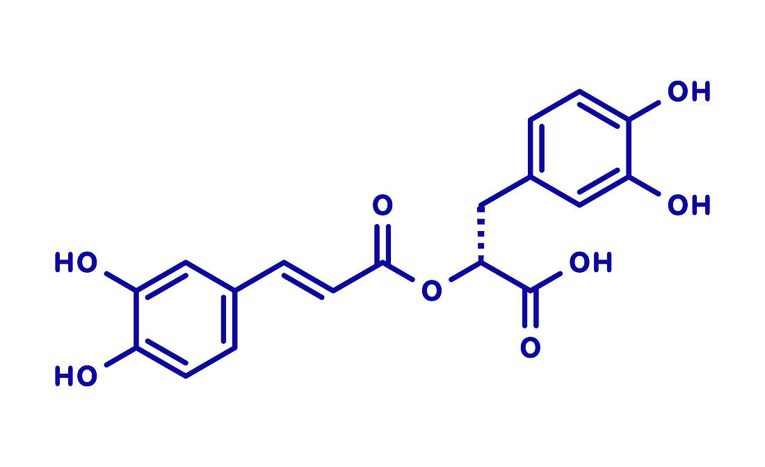 Rosmarinic acid herbal antioxidant molecule, illustration