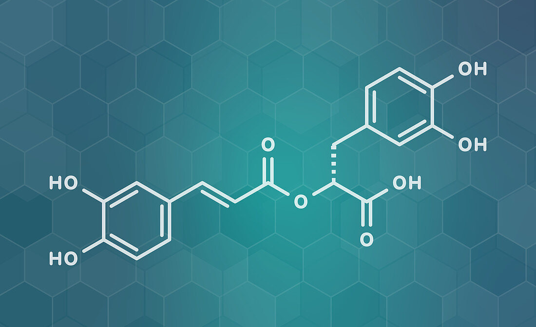 Rosmarinic acid herbal antioxidant molecule, illustration