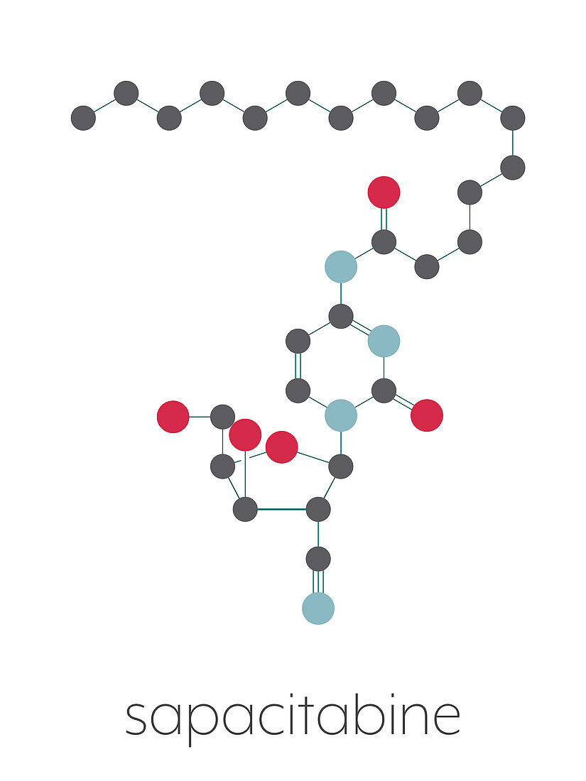 Sapacitabine cancer drug molecule, illustration
