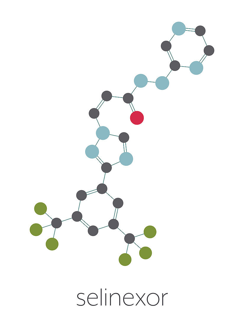 Selinexor cancer drug molecule, illustration