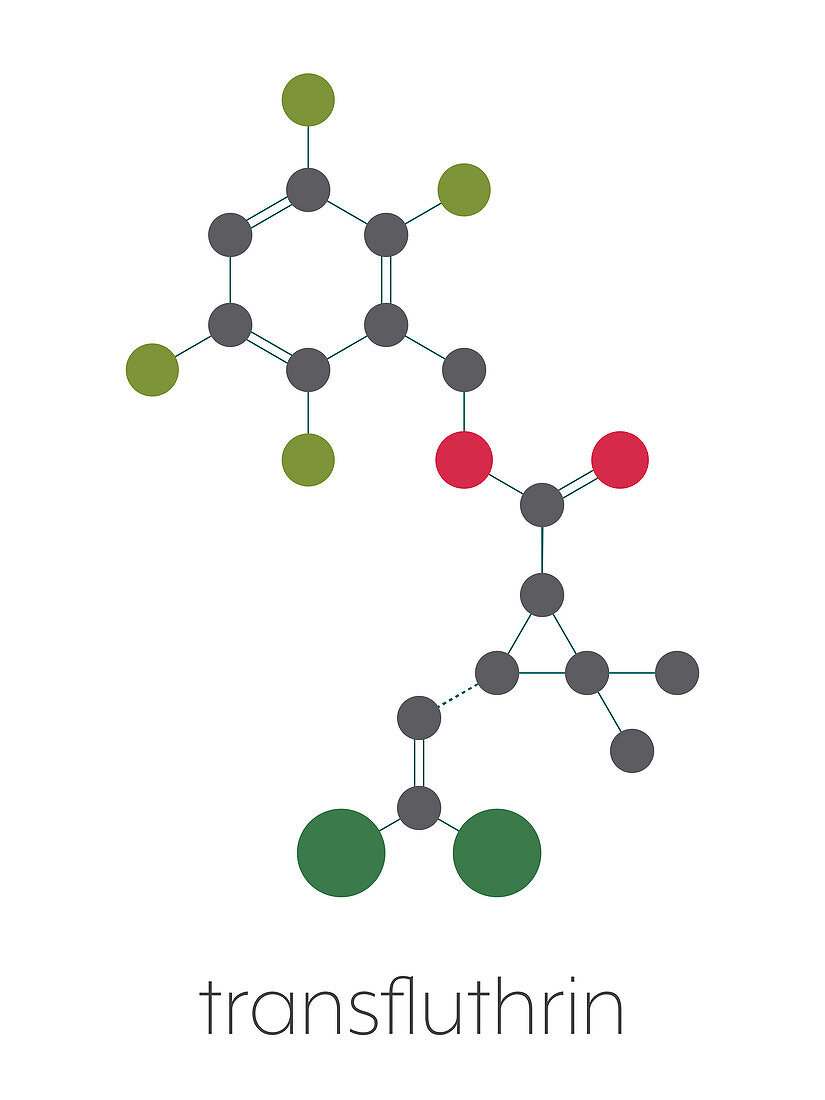 Transfluthrin insecticide molecule, illustration