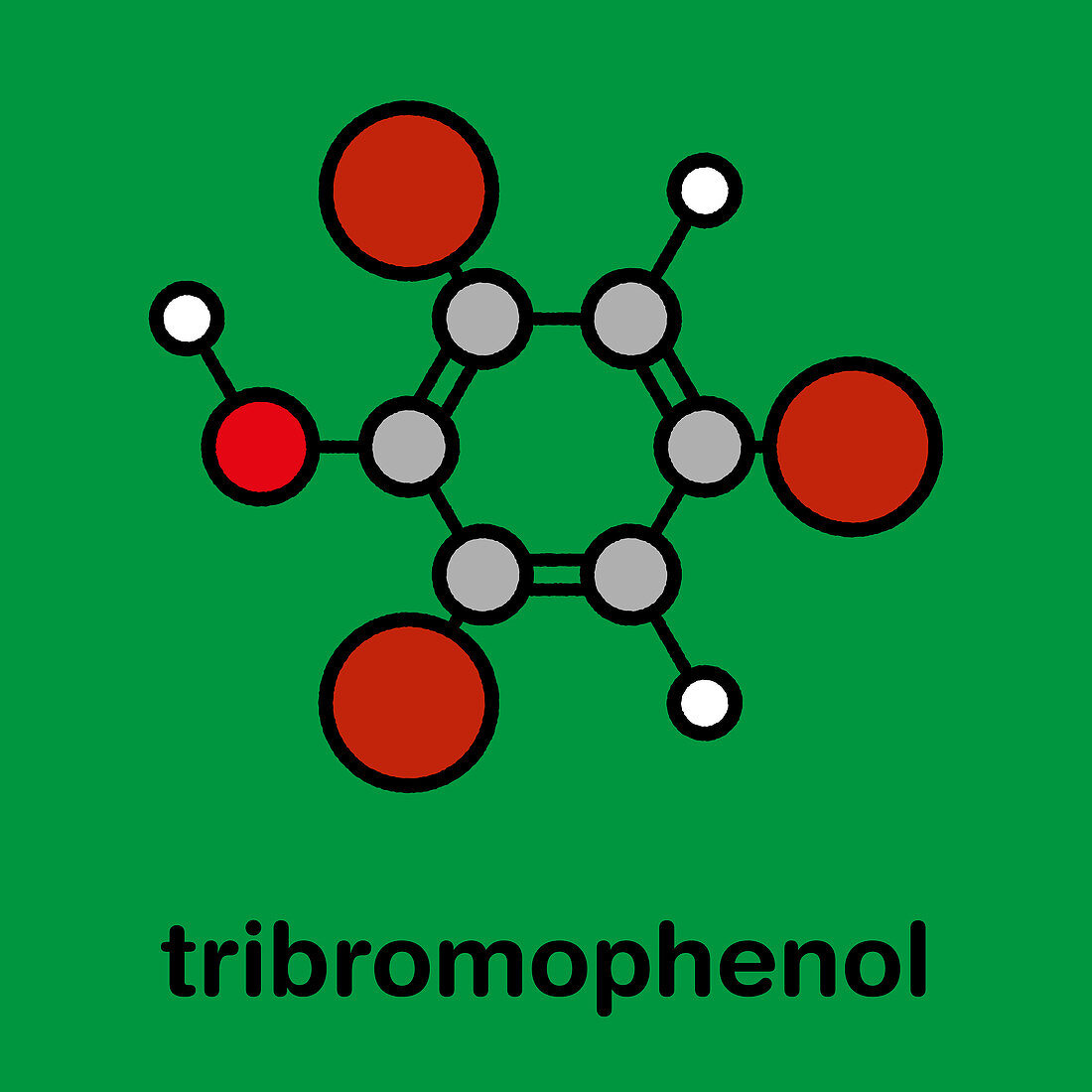 Tribromophenol molecule, illustration