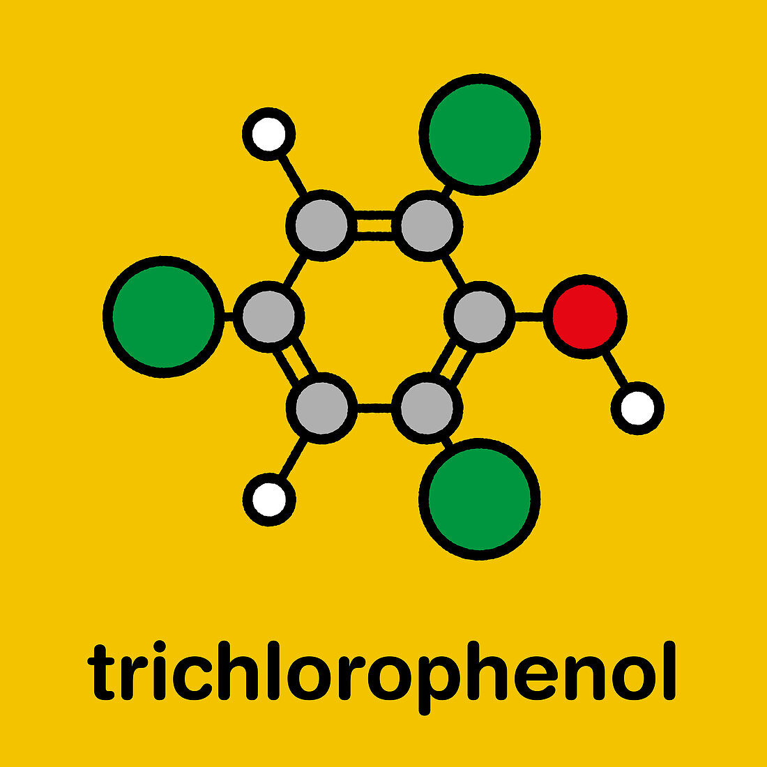 Trichlorophenol molecule, illustration