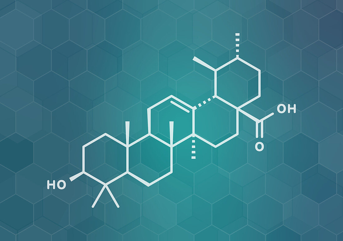 Ursolic acid molecule, illustration
