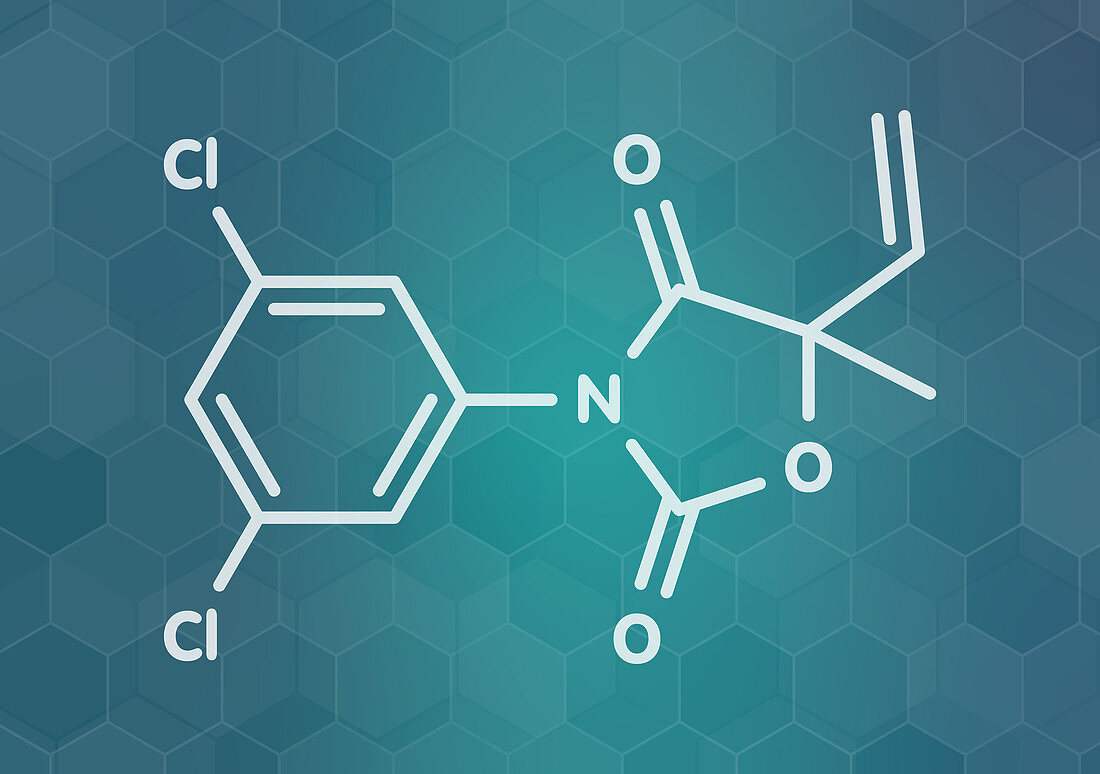 Vinclozolin fungicide molecule, illustration