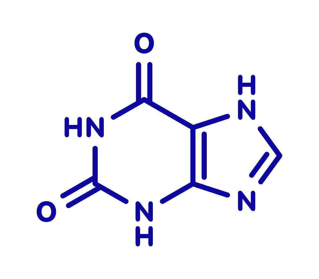Xanthine purine base molecule, illustration