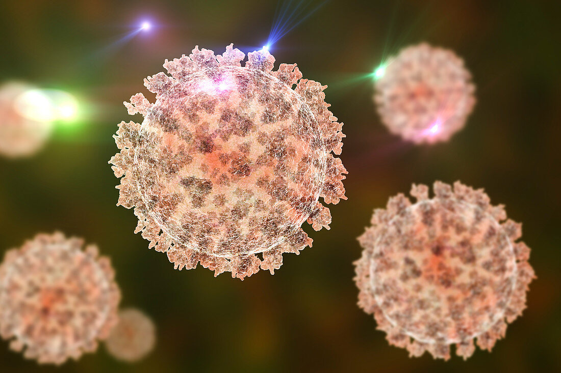 Coronavirus particles, illustration