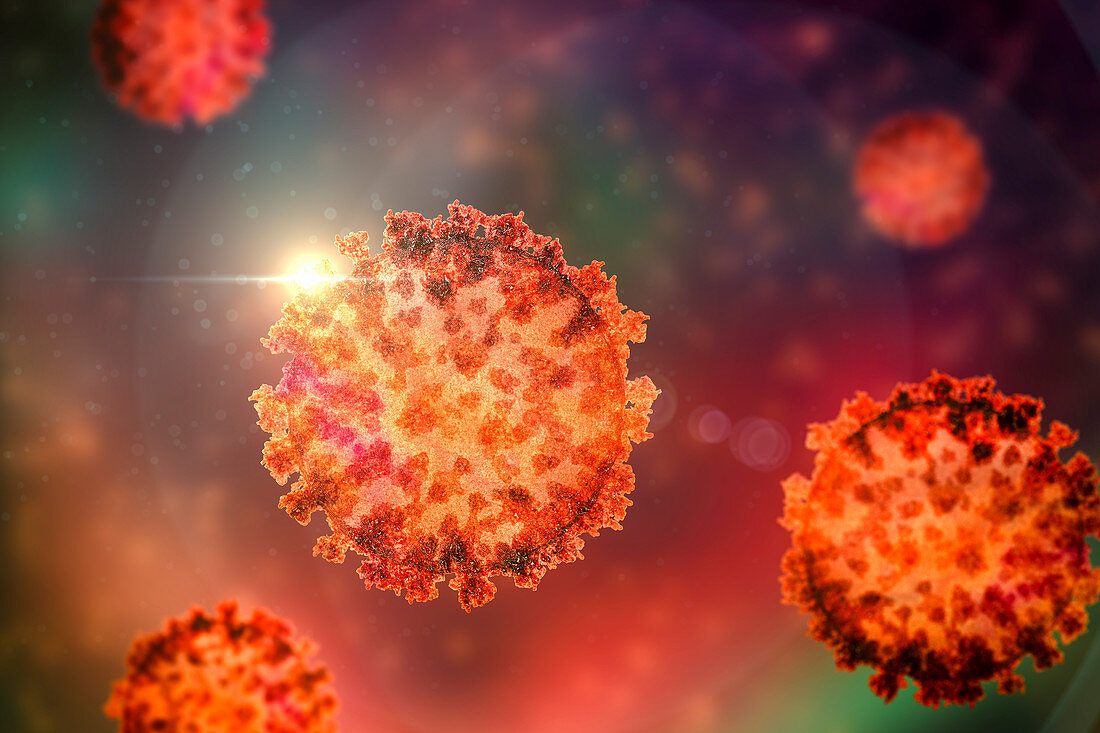 Coronavirus particles, illustration