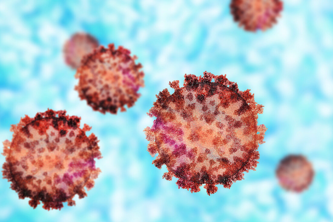 Coronavirus particles, illustration