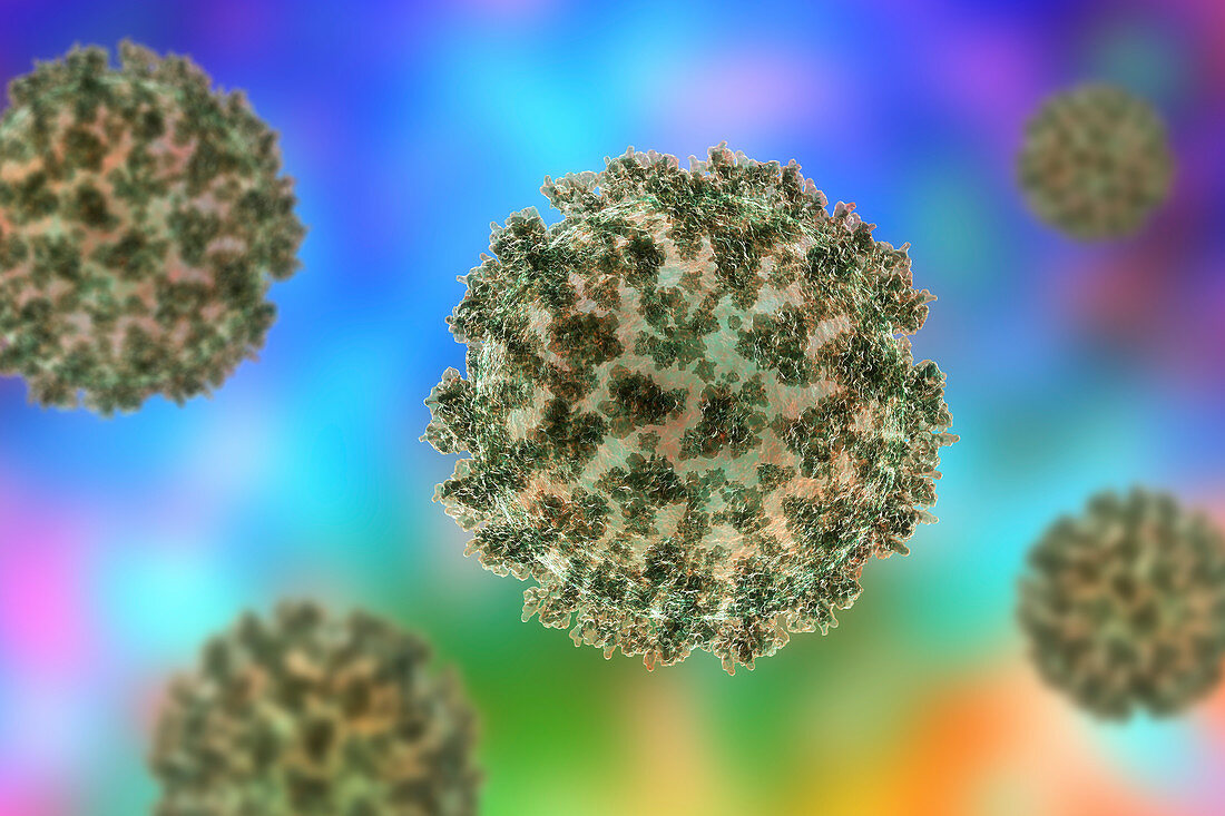 Coronavirus particles, illustration