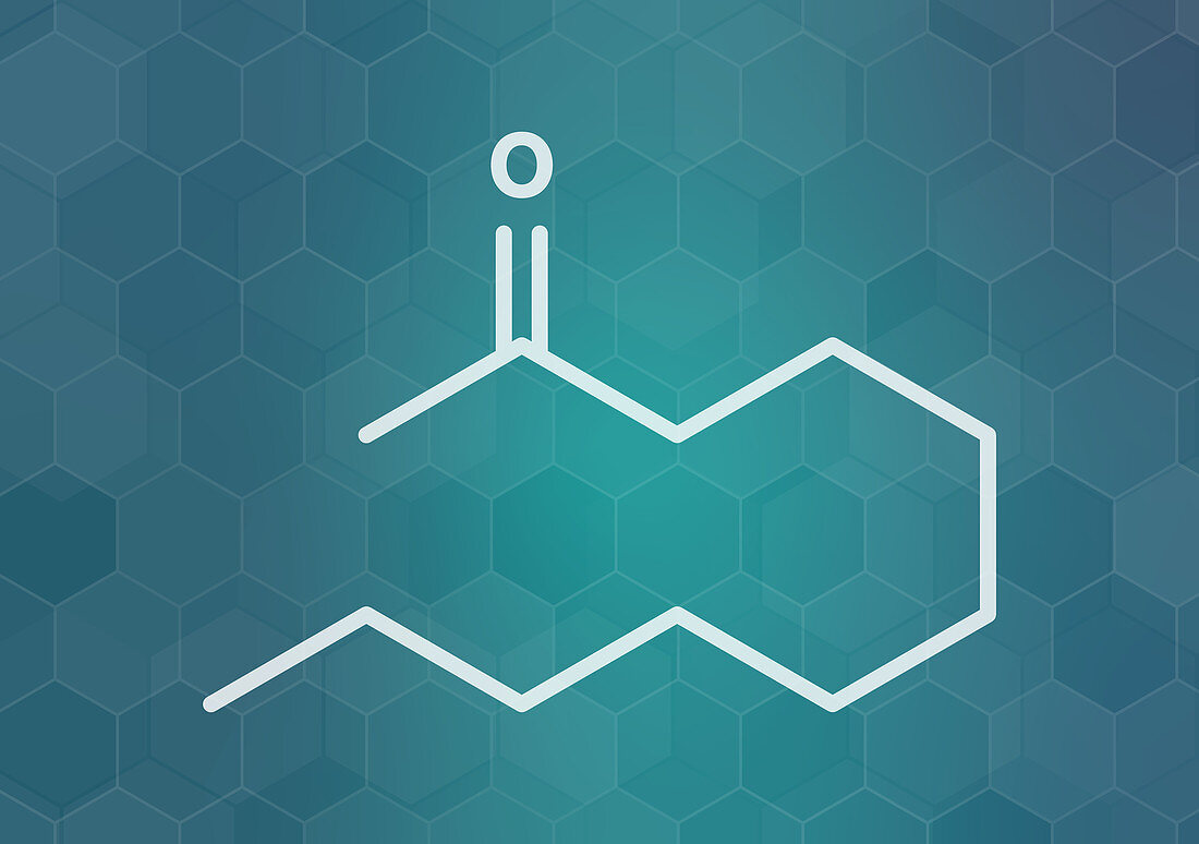 Methyl nonyl ketone insect repellent molecule, illustration