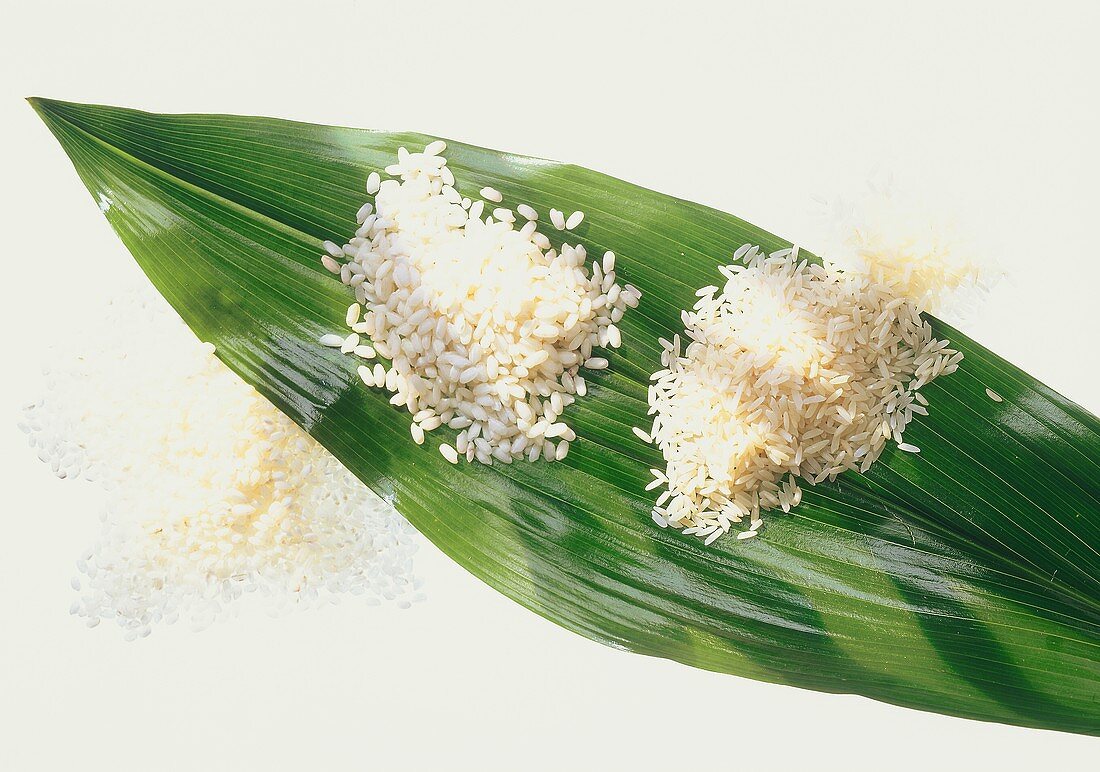 Two Kinds of Rice on a Leaf