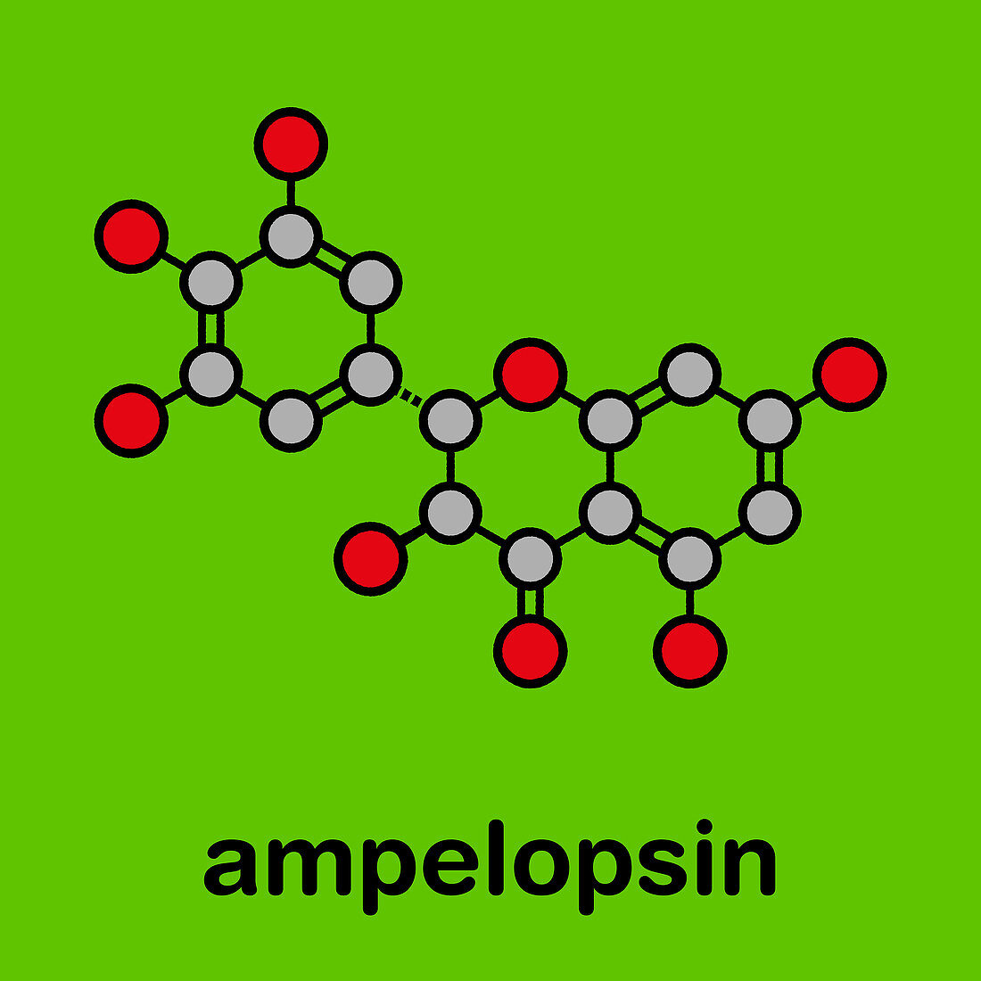 Dihydromyricetin herbal drug molecule, illustration