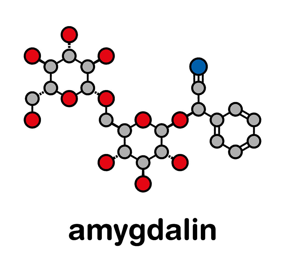 Amygdalin skeletal formula, illustration
