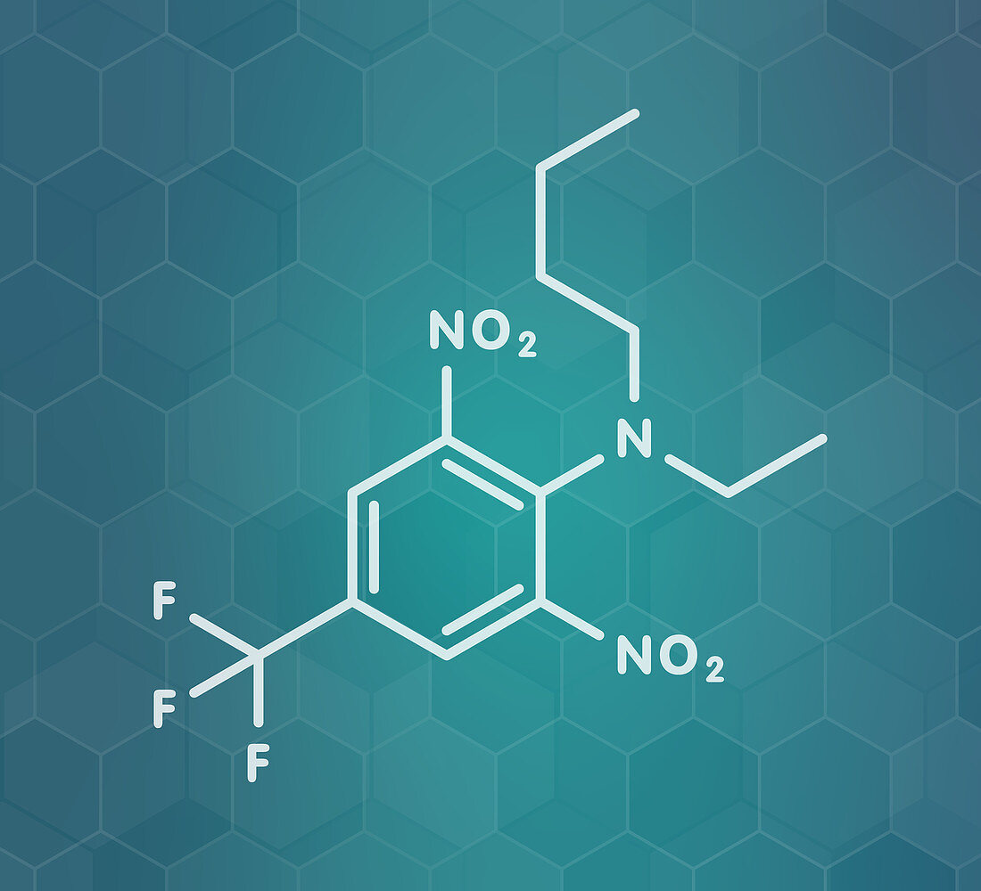 Benfluralin herbicide molecule, illustration