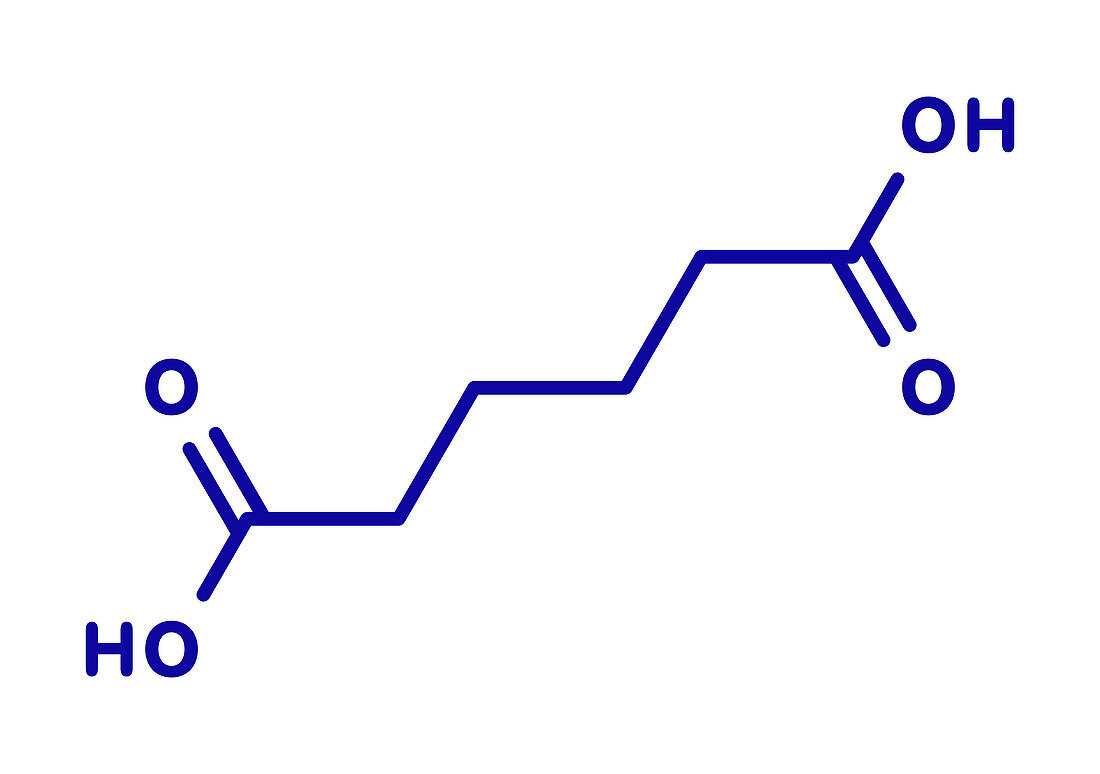 Adipic acid nylon building block molecule, illustration