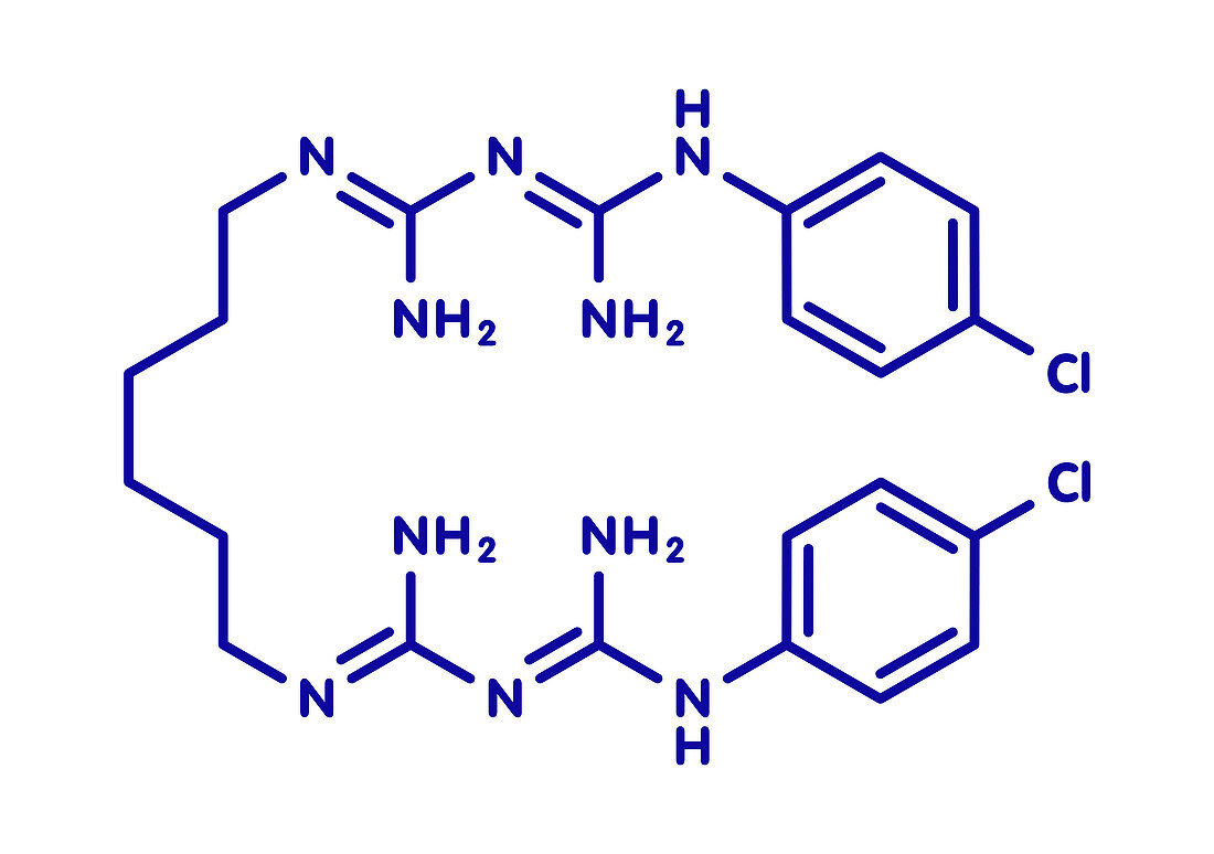 Chlorhexidine antiseptic molecule, illustration
