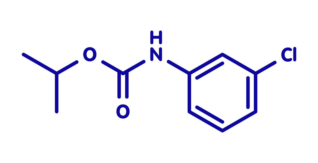Chlorpropham herbicide molecule, illustration
