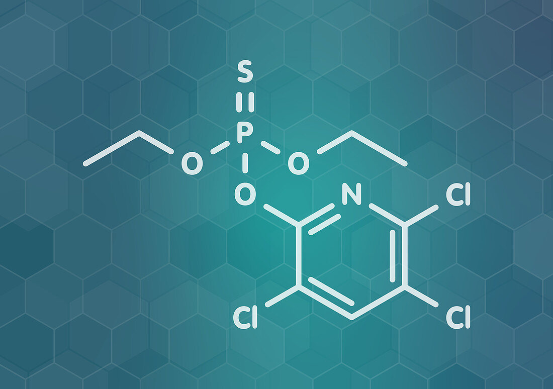 Chlorpyrifos pesticide molecule, illustration