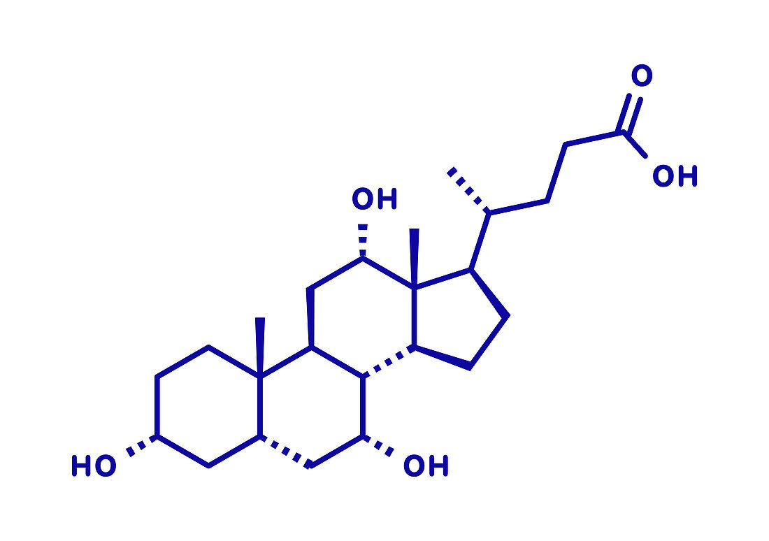Cholic acid molecule, illustration