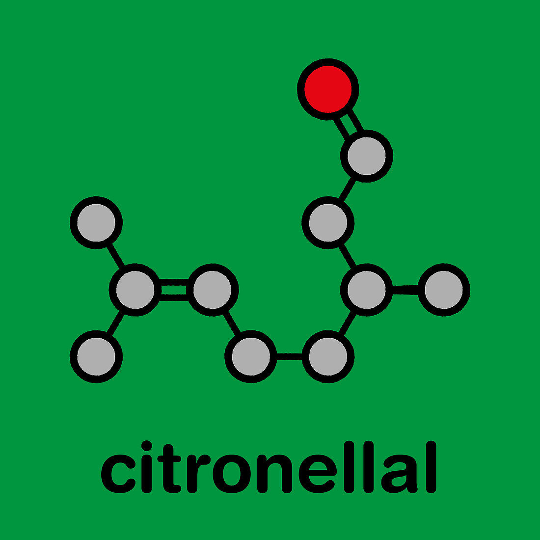 Citronellal citronella oil molecule, illustration