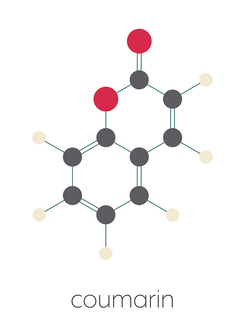 Coumarin herbal fragrant molecule, illustration