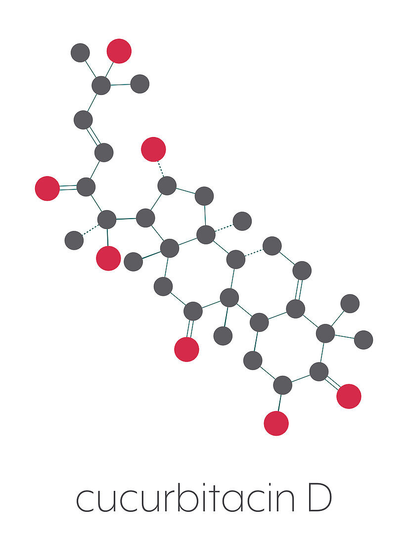 Cucurbitacin D bitter molecule, illustration