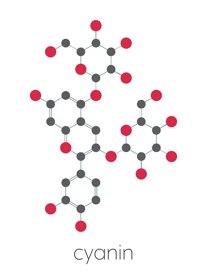 Cyanin molecule, illustration