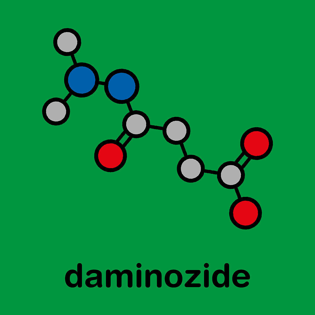 Daminozide plant growth regulator molecule, illustration