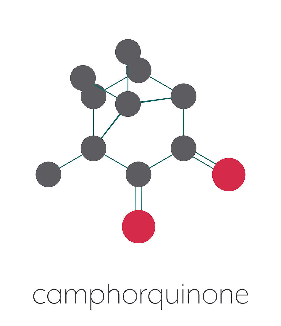 Camphorquinone photoinitiator molecule, illustration
