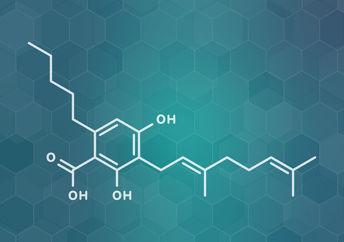 Cannabigerolic acid cannabinoid molecule, illustration