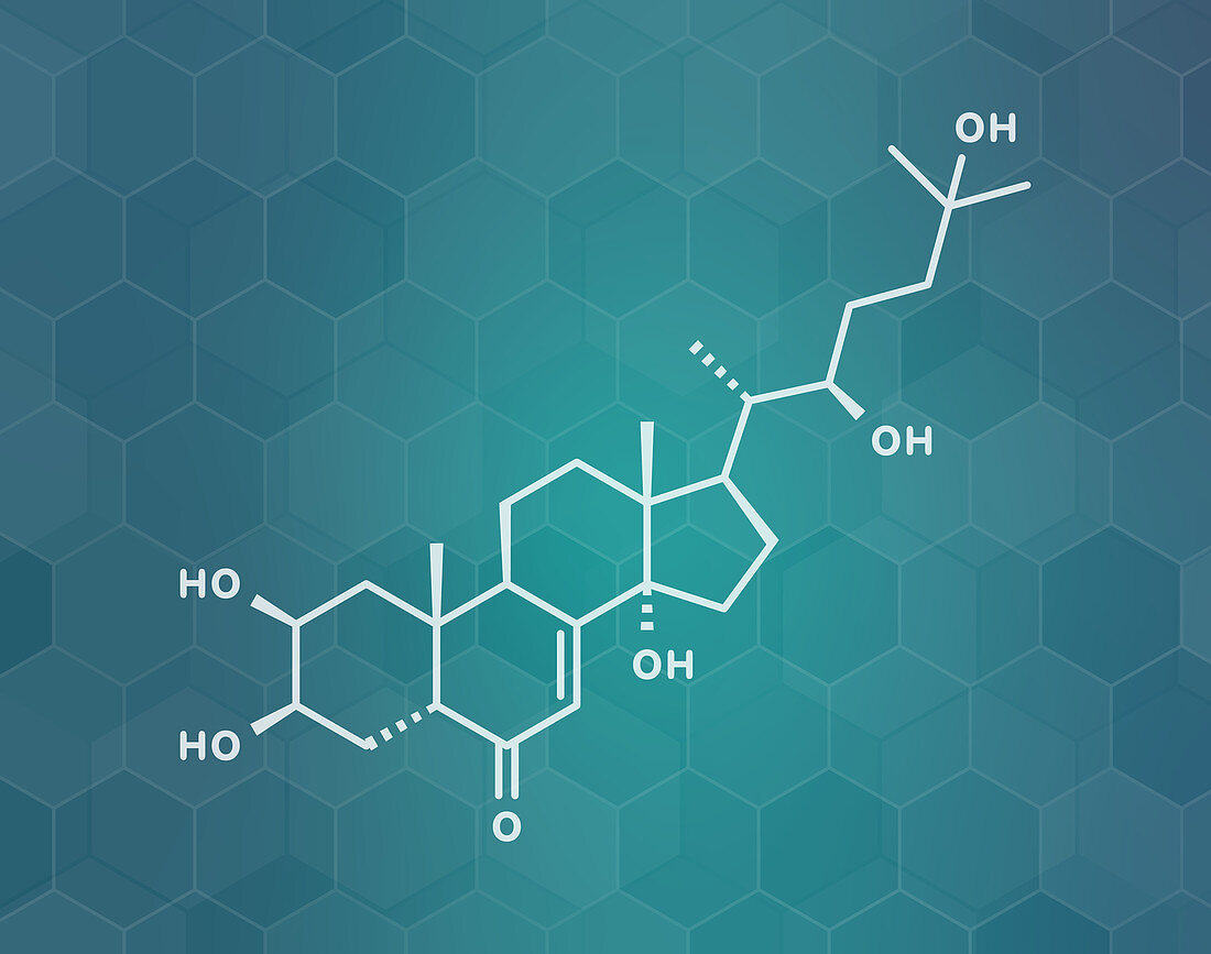 Ecdysone insect moulting prohormone molecule, illustration