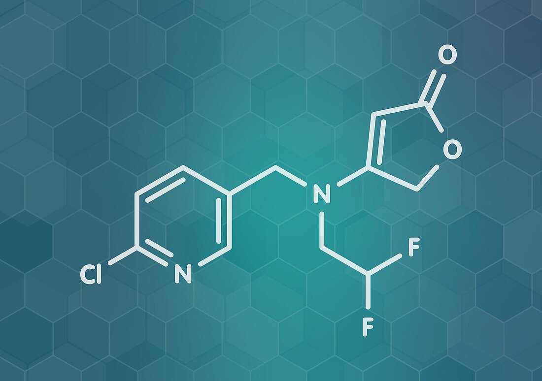 Flupyradifurone insecticide molecule, illustration