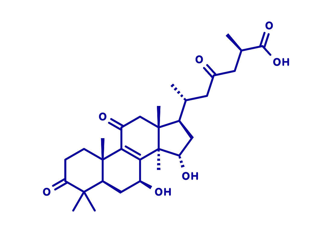 Ganoderic acid A molecule, illustration