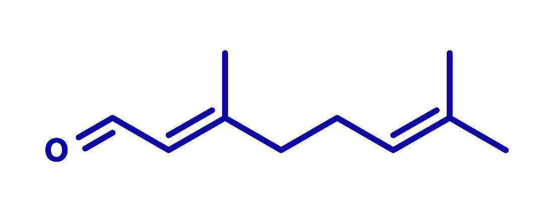 Geranial lemon fragrance molecule, illustration