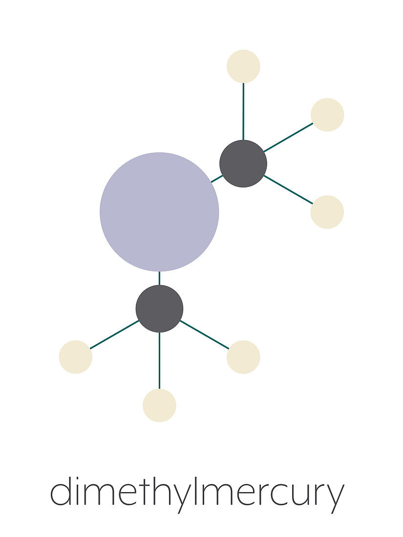 Dimethylmercury molecule, illustration