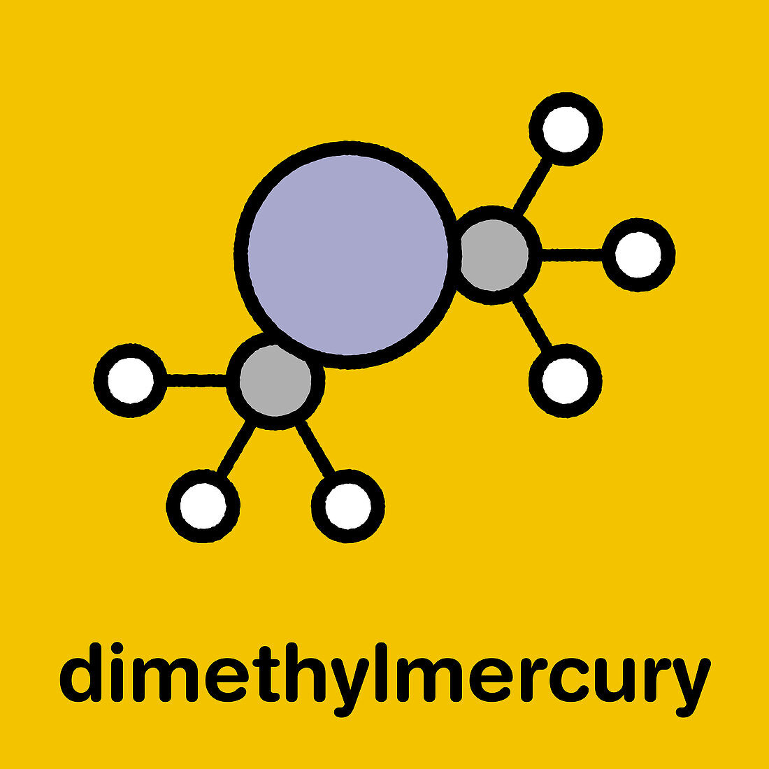 Dimethylmercury molecule, illustration